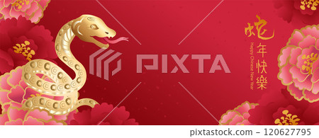 Happy New Year 2025. Year of the snake. 120627795