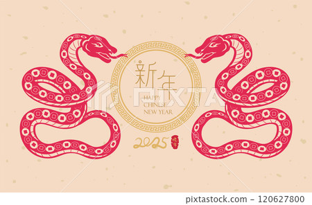new year, chinese new year, new-year 120627800