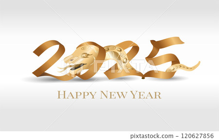 new year, chinese new year, new-year 120627856