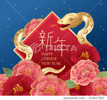 new year, chinese new year, new-year 120627863