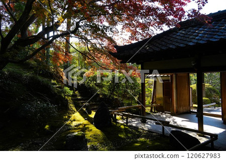 Eisei-in Temple, Kurodani-cho, Kyoto City 120627983