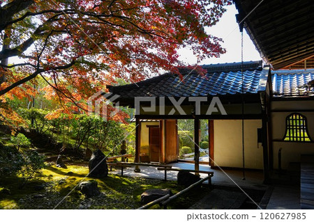 Eisei-in Temple, Kurodani-cho, Kyoto City Eisei-in Temple, Kurodani-cho, Kyoto City 120627985