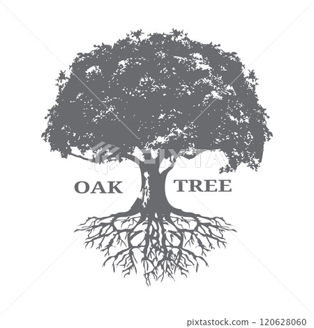 Oak Tree Silhouette with Roots spreading underground. Suitable for brands or organizations focused on sustainability, environment, education, or traditional values. 120628060