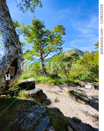 Climbing Mt. Eboshi and Mt. Minamizawa in summer (view of Mt. Mitsudake from the Bunatate Ridge) 120628268