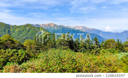 夏季攀登烏帽山、南澤山(從烏帽小屋眺望赤牛山、藥師山) 夏季攀登烏帽山、南澤山(從烏帽小屋眺望赤牛山、藥師山) 120628347