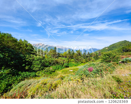夏季攀登烏帽山、南澤山（從烏帽小屋眺望赤牛山、藥師山） 120628369