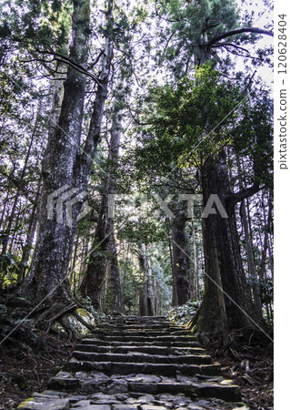 The mysterious Kumano Kodo 120628404