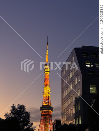 東京鐵塔 東京鐵塔 120628582