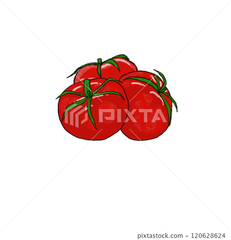 Fresh red tomatoes illustration 120628624