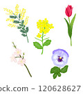 花圖 120628627
