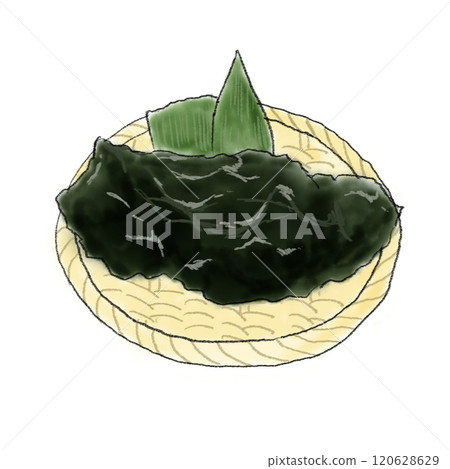 新鮮海藻的插圖 120628629