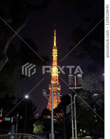 東京鐵塔 東京鐵塔 120628640