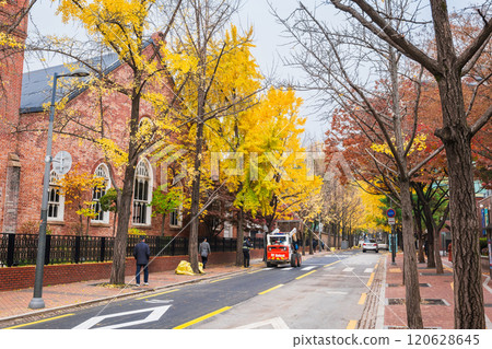 Autumn in Seoul: Jeongdong-gil 120628645