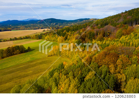 Autumn hilly landscape with colored trees 120628803