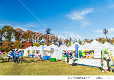 Autumn event venue: Hachioji Ginkgo Festival Autumn event venue: Hachioji Ginkgo Festival 120629249