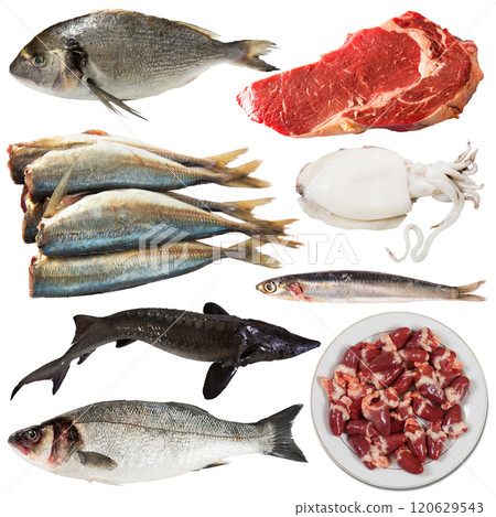 Uncooked meat and fish products Uncooked meat and fish products 120629543