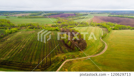Fields and grasslands of Central Russia Fields and grasslands of Central Russia 120629713