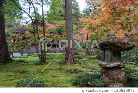 京都Ohara Sanzenin 120629872