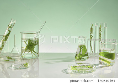 Creative photo of an experiment about seaweed being conducted in laboratory with many others plant ingredients. Many experiment instrument featured on table, empty space in center for product showing 120630164