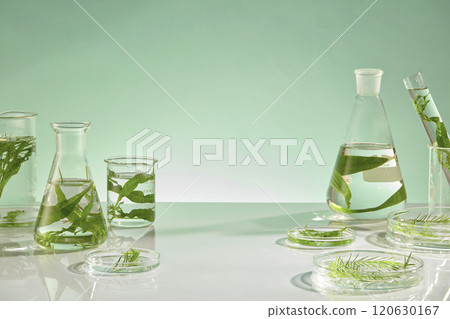 The photograph for seaweed product advertisement was shot from front view on green background. Seaweed can contain antioxidants and beneficial nutrients, including iodine, tyrosine, vitamins, and mine The photograph for seaweed product advertisement was shot from front view on green background. Seaweed can contain antioxidants and beneficial nutrients, including iodine, tyrosine, vitamins, and mine 120630167
