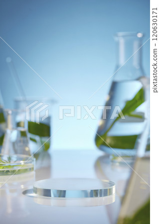 The photo in lab scene, seaweed leaves and essence in beaker and petri dish. Seaweed rich in vitamins, stimulating ha, so having the effect of treating acne detoxing the skin, anti aging 120630171