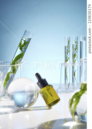 Template for cosmetic advertisement design. A green serum bottle without label displayed in center. Seaweed is packed with an high concentration of skin nourishing vitamins and minerals 120630174