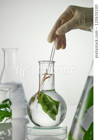 Close up shot from front view photography, a boiling flask in center being stirred by a glass rod in scientist's hand. Experiment glassware of clear essence and fresh seaweed displayed around 120630180