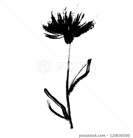 Hand Drawn Brush Flower and Leaves Silhouette. Vector Illustration. Hand Drawn Brush Flower and Leaves Silhouette. Vector Illustration. 120630500