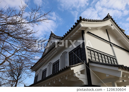 Okayama Castle salt storehouse 120630604