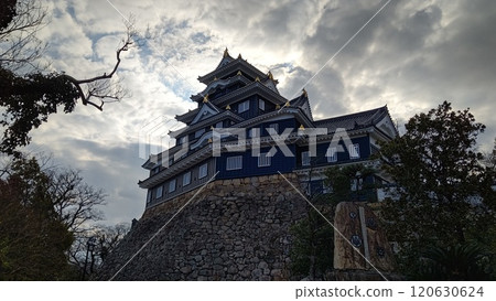 Black Okayama Castle 120630624
