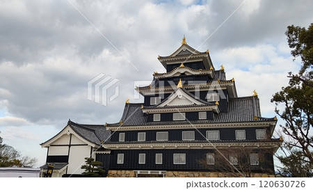 岡山天守閣和鹽窖 岡山天守閣和鹽窖 120630726