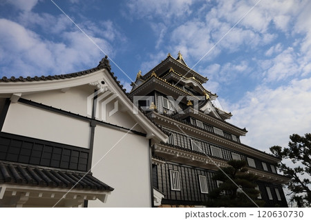 岡山天守閣和鹽窖 120630730