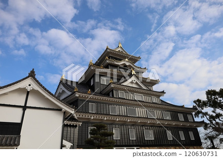 岡山天守閣和鹽窖 岡山天守閣和鹽窖 120630731