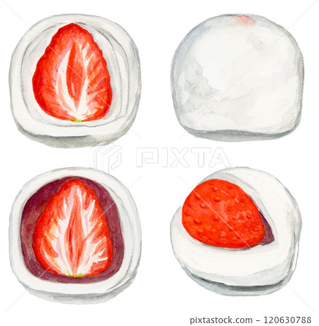 Hand-drawn watercolor illustration of a set of delicious looking strawberry daifuku Hand-drawn watercolor illustration of a set of delicious looking strawberry daifuku 120630788