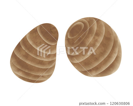 菜芋手繪風格 120630806