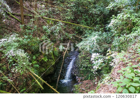 Mount Takao, Jataki Course, along the hiking trail, the source of the Kobotoke River 120630817