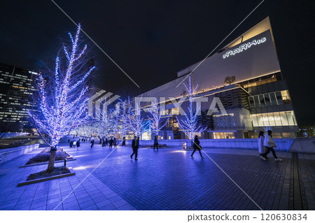 Yokohama Minato Mirai Grand Mall Park Illuminations [Yokohama City, Kanagawa Prefecture] 120630834