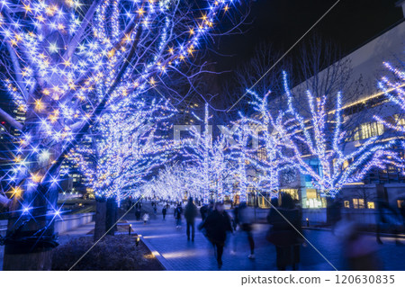 Yokohama Minato Mirai Grand Mall Park Illuminations [Yokohama City, Kanagawa Prefecture] 120630835