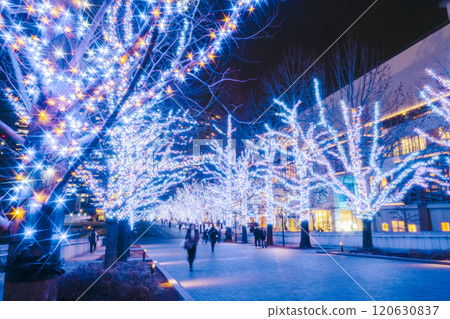 Yokohama Minato Mirai Grand Mall Park Illuminations [Yokohama City, Kanagawa Prefecture] 120630837