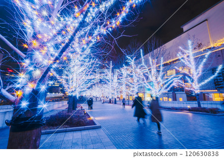 Yokohama Minato Mirai Grand Mall Park Illuminations [Yokohama City, Kanagawa Prefecture] 120630838