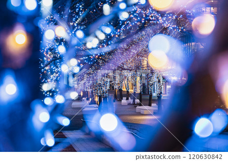 Yokohama Minato Mirai Grand Mall Park Illuminations [Yokohama City, Kanagawa Prefecture] 120630842
