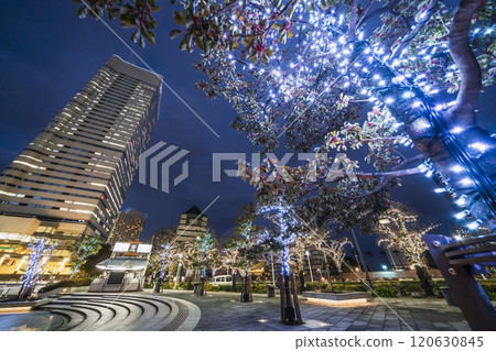 Yokohama Minato Mirai: Illuminations along Sakuragicho and Sakura Street [Yokohama City, Kanagawa Prefecture] 120630845