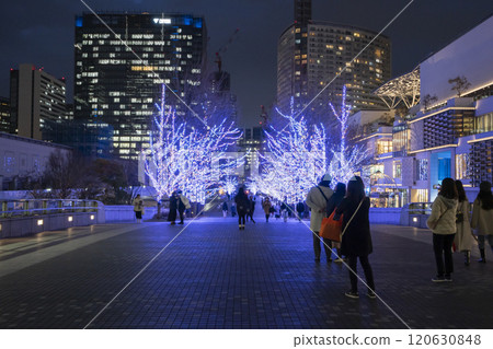 Yokohama Minato Mirai Grand Mall Park Illuminations [Yokohama City, Kanagawa Prefecture] 120630848