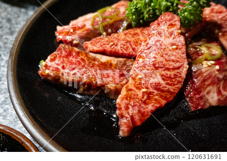 Delicious "Yakiniku" 120631691