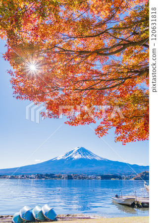 【山梨郡】河口湖畔和富士山的秋楓葉 120631818