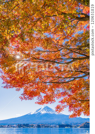 【山梨郡】河口湖畔和富士山的秋楓葉 120631819