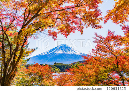 【山梨郡】河口湖畔和富士山的秋楓葉 【山梨郡】河口湖畔和富士山的秋楓葉 120631825