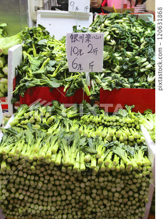 Chinese orchids sold in the Hong Kong market. The most popular and favorite Hong Kong vegetable Chinese orchids sold in the Hong Kong market. The most popular and favorite Hong Kong vegetable 120631868