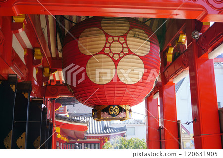名古屋七福神巡遊 大須觀音正殿燈籠 名古屋七福神巡遊 大須觀音正殿燈籠 120631905