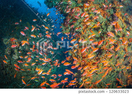 Meeting Meeting 120633023